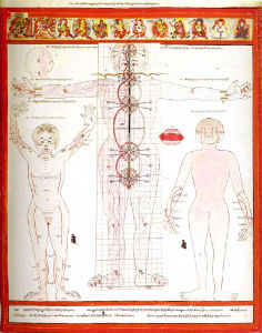 Атлас тибетской медицины 12