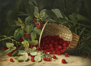 Granberry Virginia. Raspberries