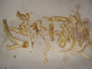 korni8_300 korni8_300
